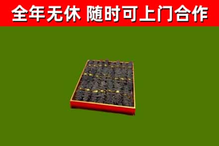 运城回收海参